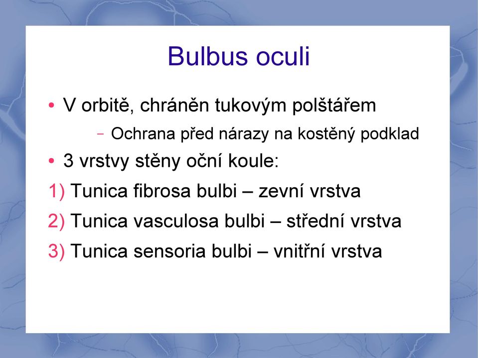 1) Tunica fibrosa bulbi zevní vrstva 2) Tunica vasculosa