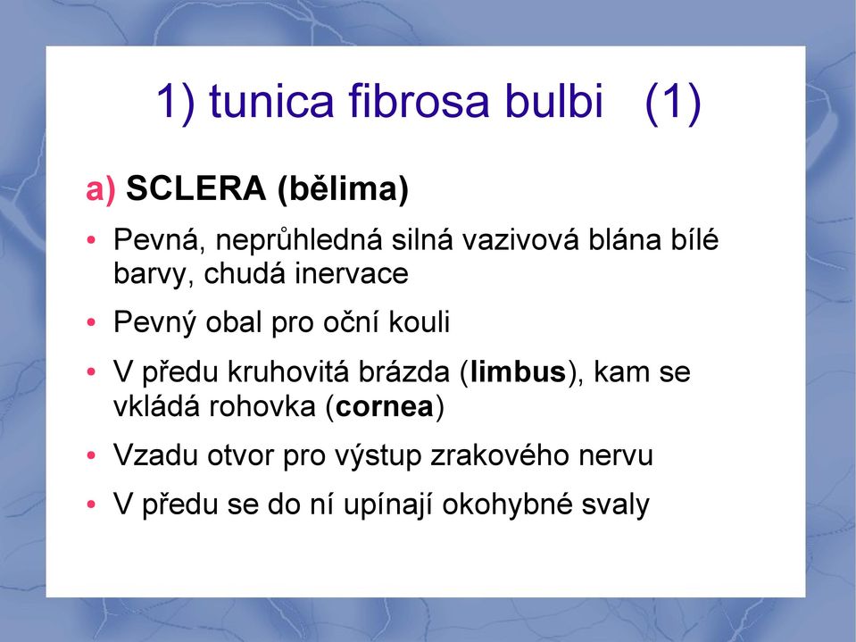 kouli V předu kruhovitá brázda (limbus), kam se vkládá rohovka