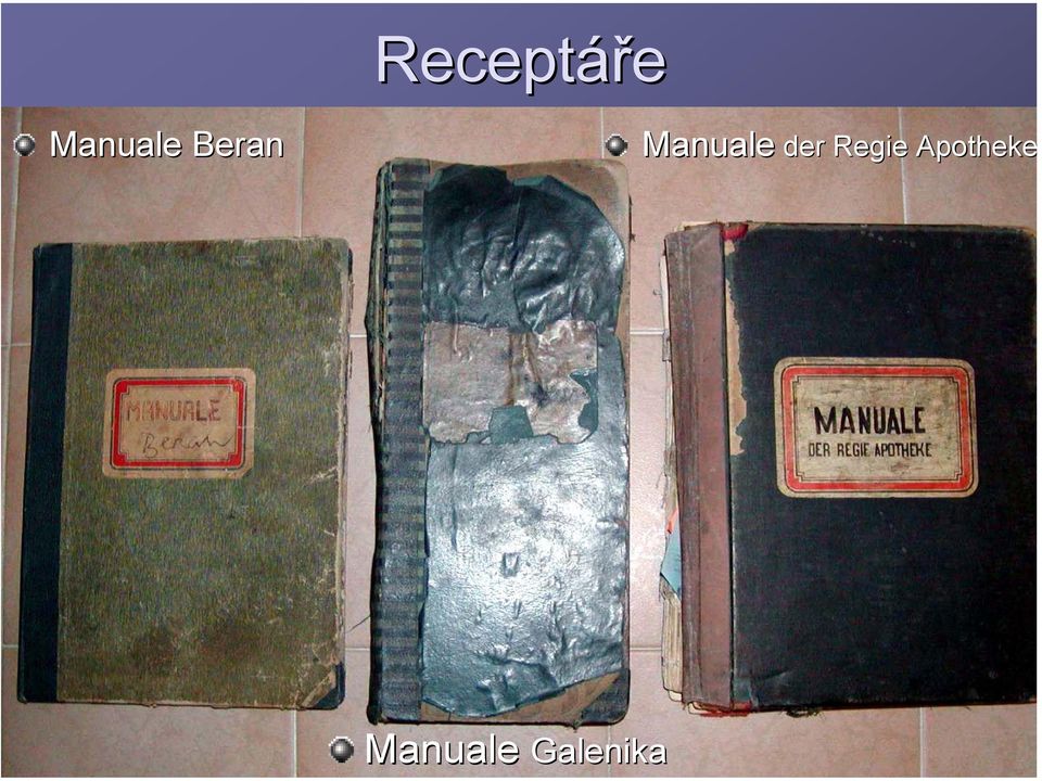 Manuale Beran