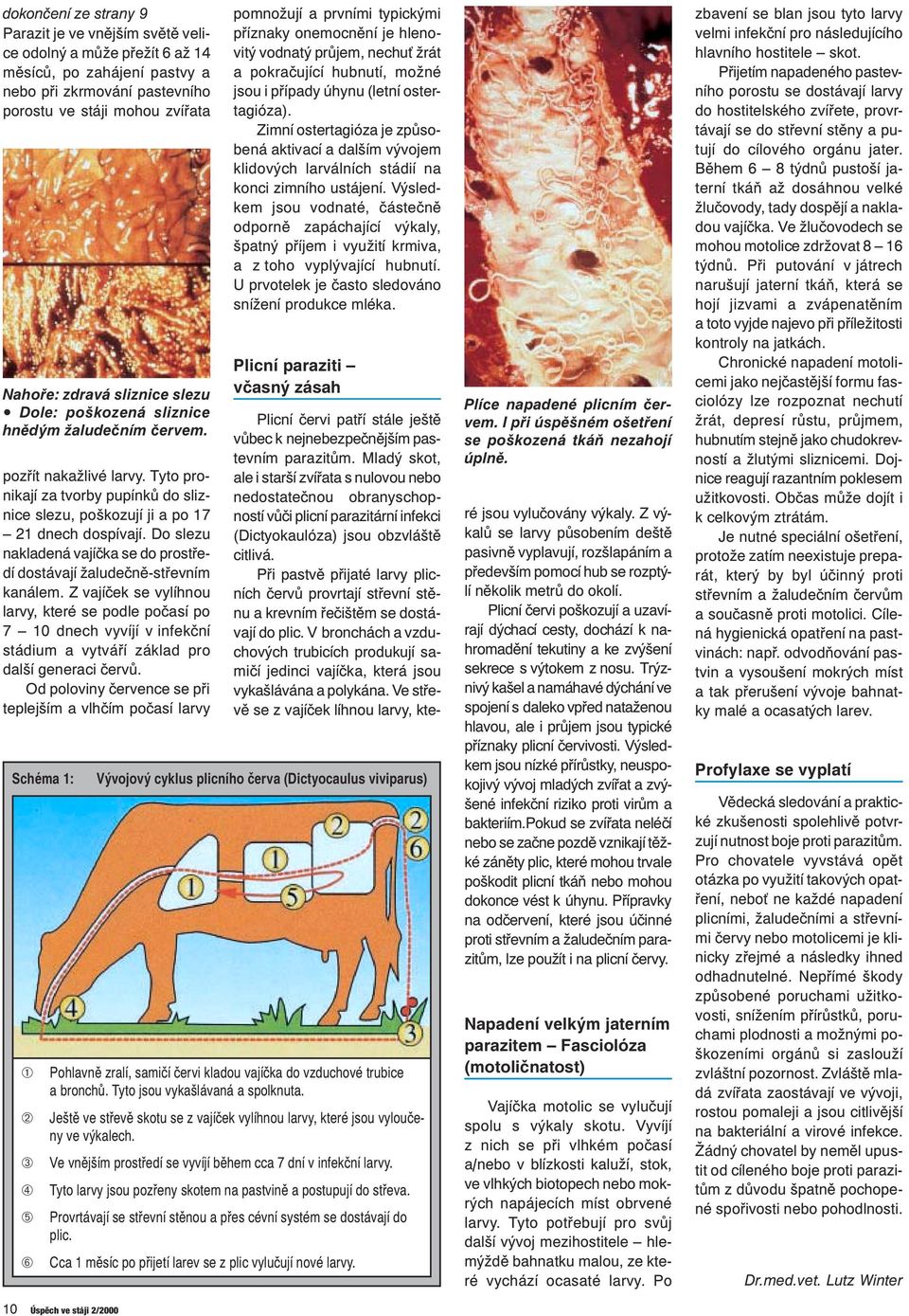 Do slezu nakladená vajíčka se do prostředí dostávají žaludečně-střevním kanálem.
