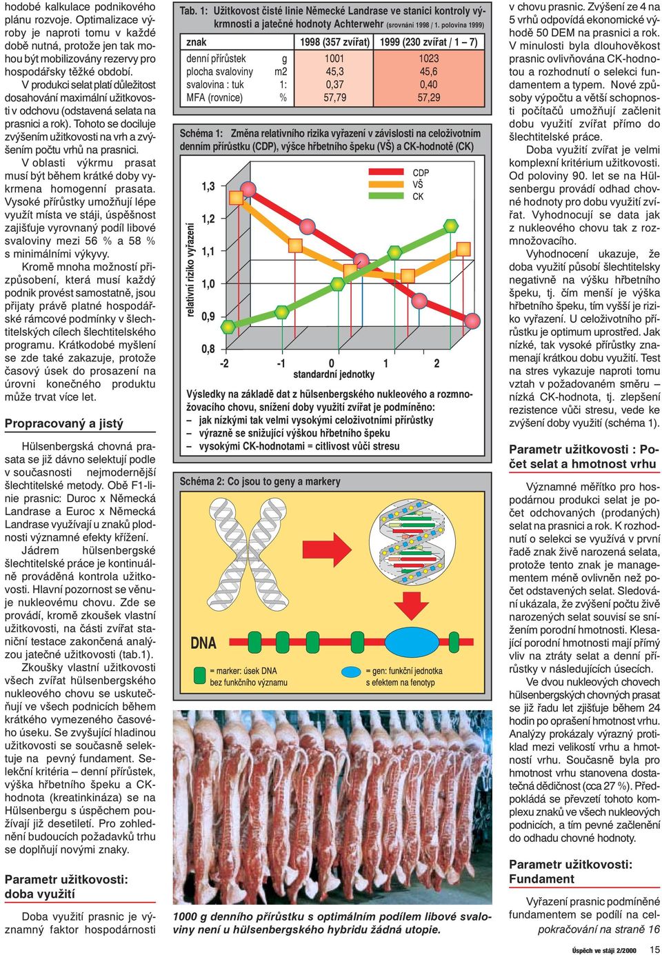 V oblasti výkrmu prasat musí být během krátké doby vykrmena homogenní prasata.