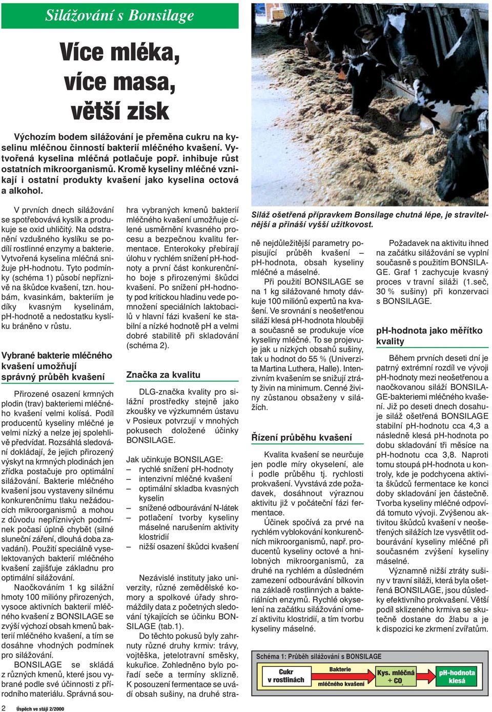 V prvních dnech silážování se spotřebovává kyslík a produkuje se oxid uhličitý. Na odstranění vzdušného kyslíku se podílí rostlinné enzymy a bakterie. Vytvořená kyselina mléčná snižuje ph-hodnotu.