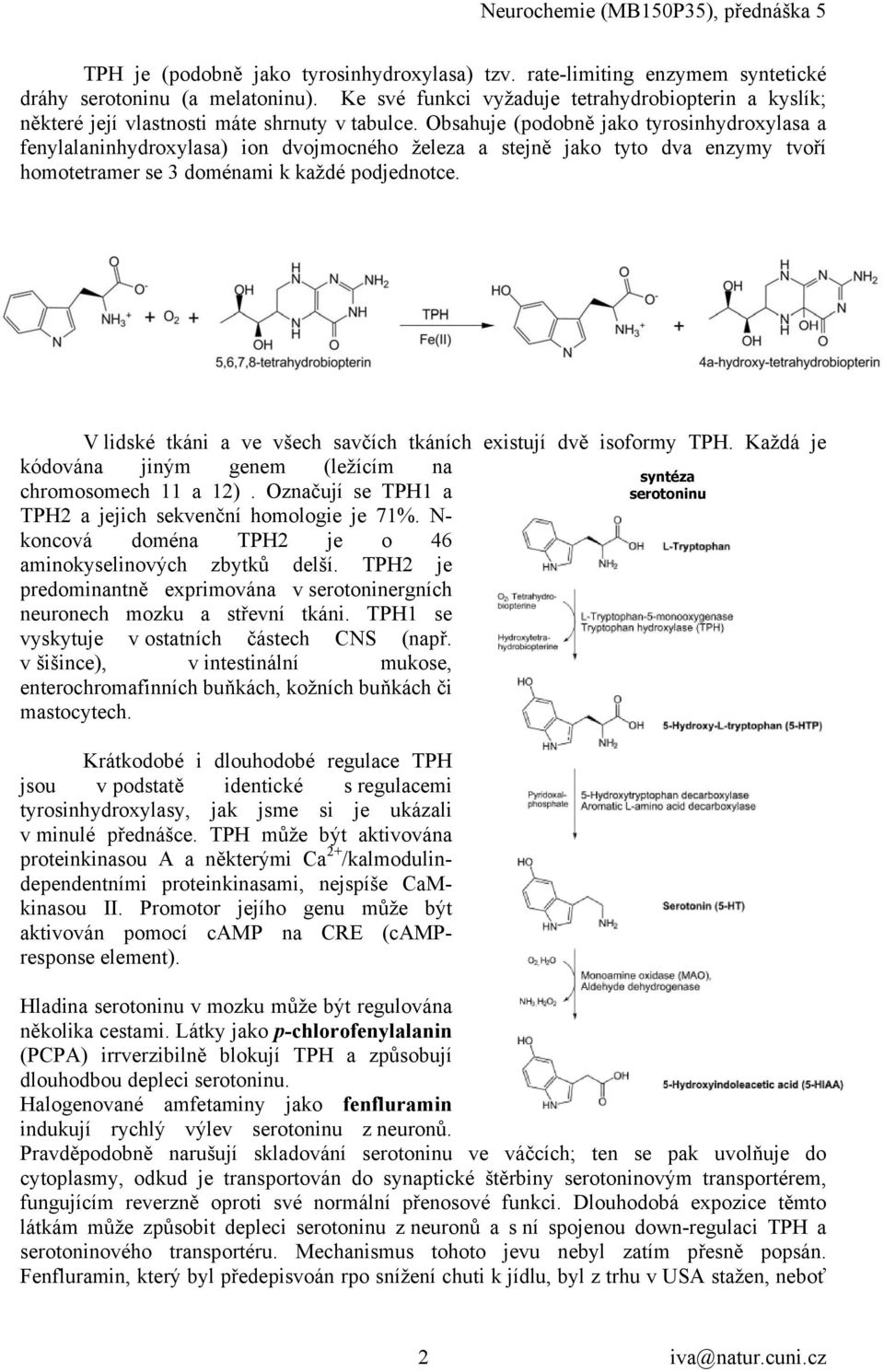 Obsahuje (podobně jako tyrosinhydroxylasa a fenylalaninhydroxylasa) ion dvojmocného železa a stejně jako tyto dva enzymy tvoří homotetramer se 3 doménami k každé podjednotce.