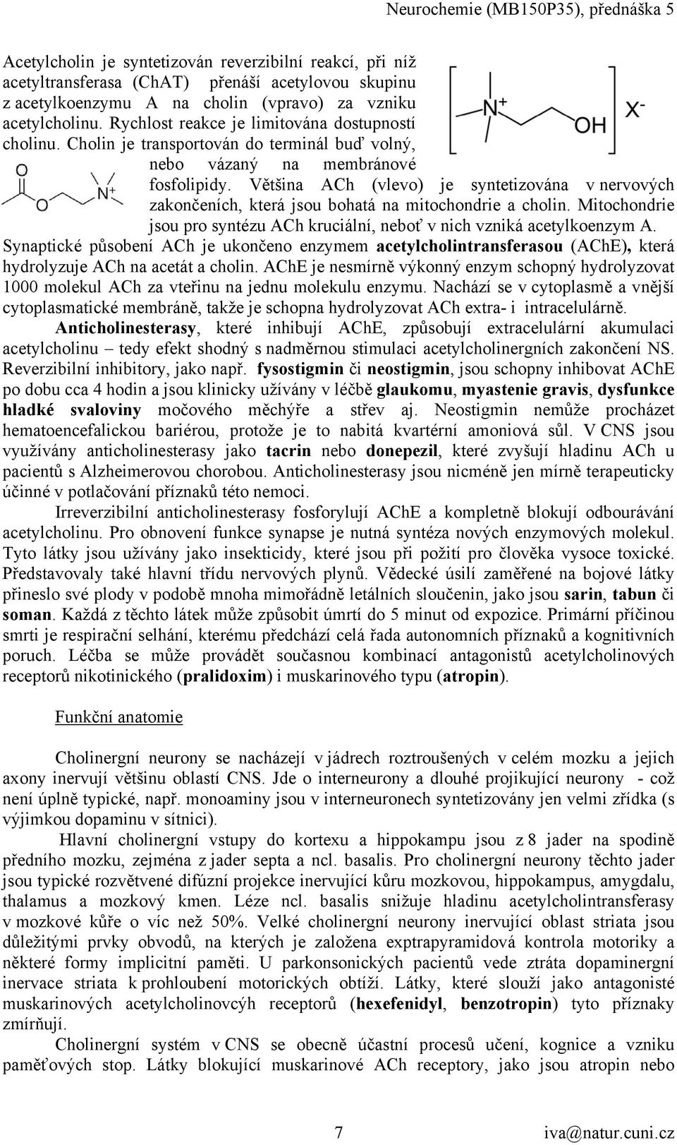 Většina ACh (vlevo) je syntetizována v nervových zakončeních, která jsou bohatá na mitochondrie a cholin. Mitochondrie jsou pro syntézu ACh kruciální, neboť v nich vzniká acetylkoenzym A.