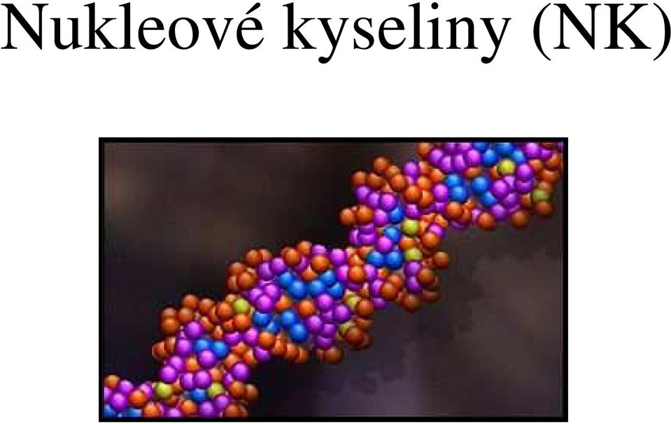 (NK)