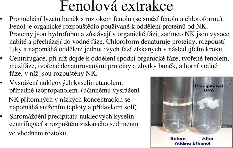 Chloroform denaturuje proteiny, rozpouští tuky a napomáhá oddělení jednotlivých fází získaných v následujícím kroku.