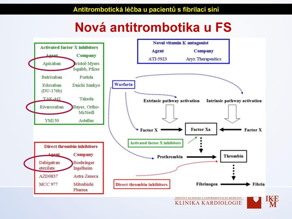 fibrilací síní