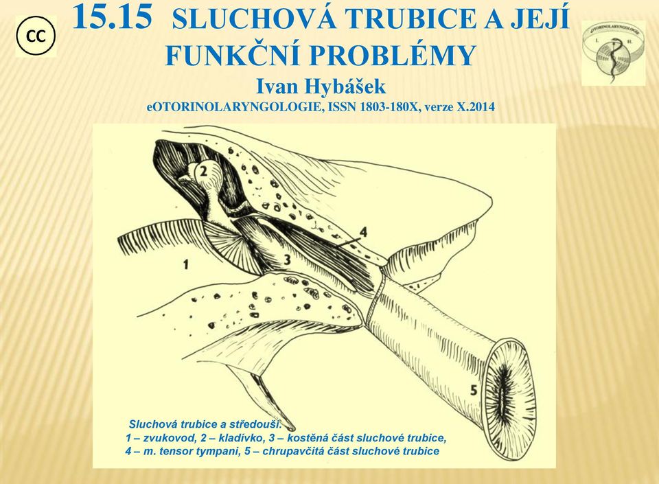 2014 Sluchová trubice a středouší.