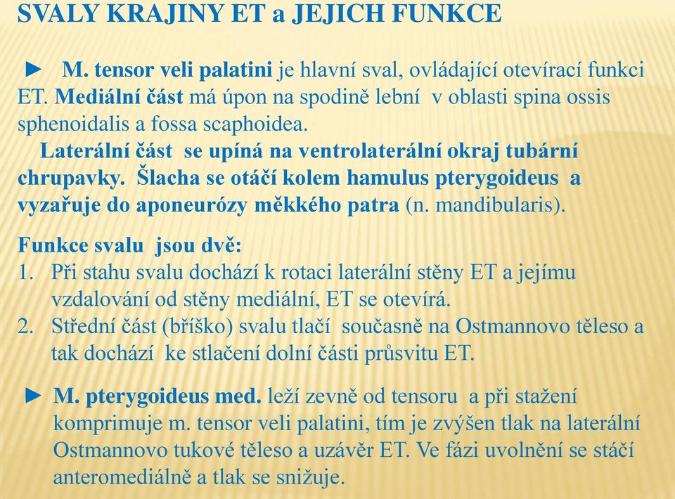 Při stahu svalu dochází k rotaci laterální stěny ET a jejímu vzdalování od stěny mediální, ET se otevírá. 2.