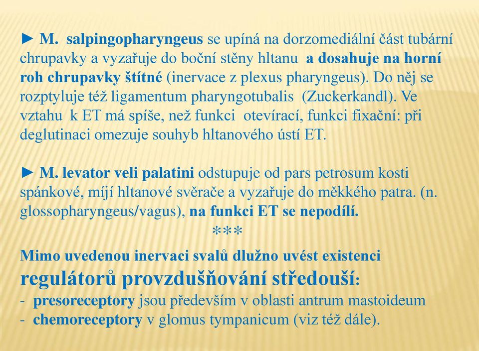 levator veli palatini odstupuje od pars petrosum kosti spánkové, míjí hltanové svěrače a vyzařuje do měkkého patra. (n. glossopharyngeus/vagus), na funkci ET se nepodílí.
