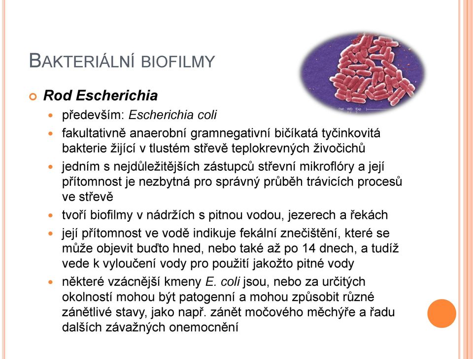 řekách její přítomnost ve vodě indikuje fekální znečištění, které se může objevit buďto hned, nebo také až po 14 dnech, a tudíž vede k vyloučení vody pro použití jakožto pitné vody