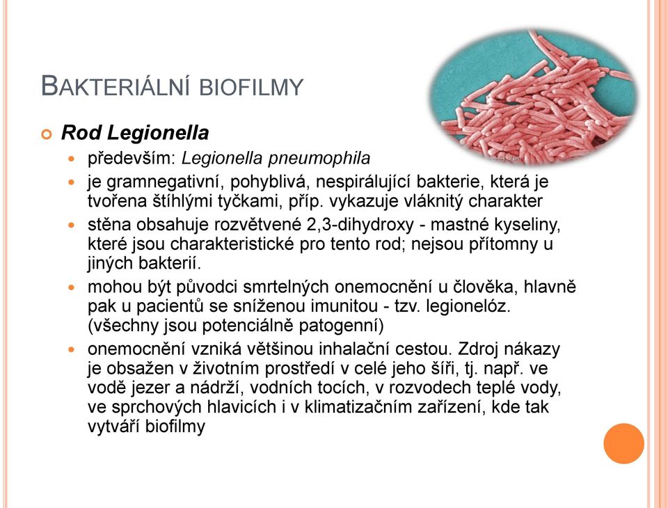 mohou být původci smrtelných onemocnění u člověka, hlavně pak u pacientů se sníženou imunitou - tzv. legionelóz.