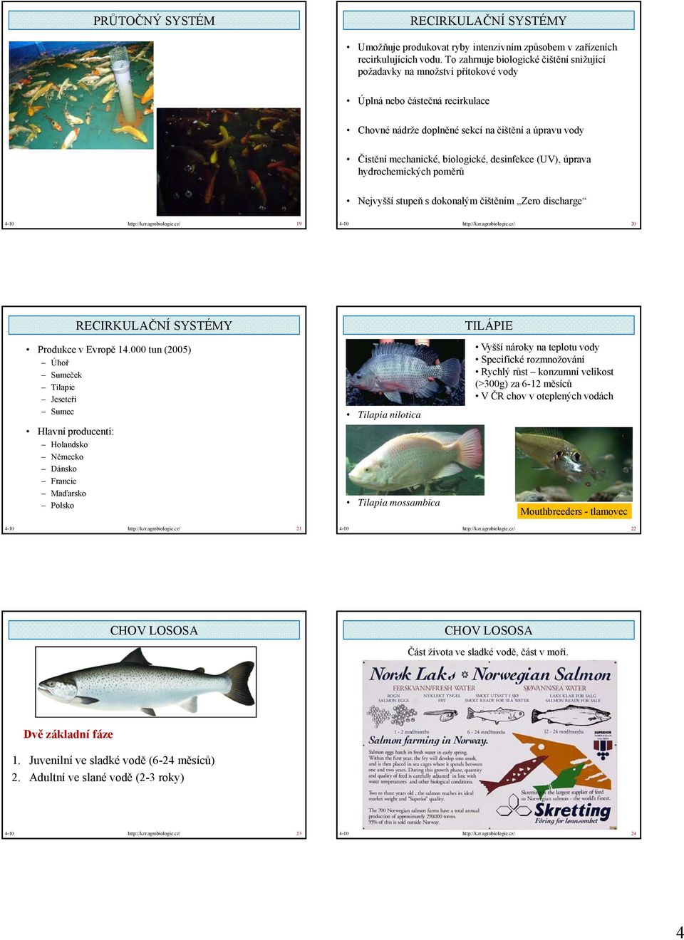 desinfekce (UV), úprava hydrochemických poměrů Nejvyšší stupeň s dokonalým čištěním Zero discharge 4-10 http://kzr.agrobiologie.cz/ 19 4-10 http://kzr.agrobiologie.cz/ 20 RECIRKULAČNÍ SYSTÉMY Produkce v Evropě 14.