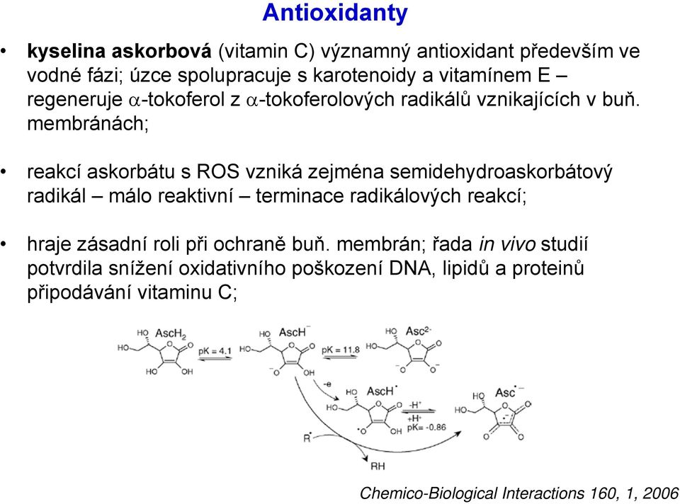 membránách; reakcí askorbátu s ROS vzniká zejména semidehydroaskorbátový radikál málo reaktivní terminace radikálových reakcí; hraje