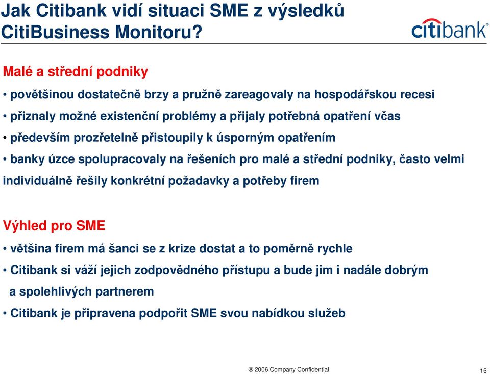 především prozřetelně přistoupily k úsporným opatřením banky úzce spolupracovaly na řešeních pro malé a střední podniky, často velmi individuálně řešily konkrétní