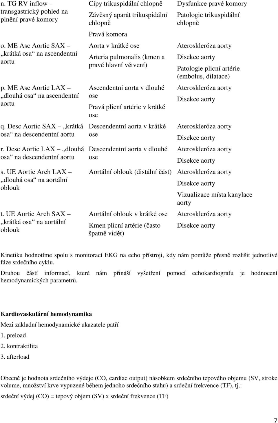 UE Aortic Arch SAX krátká osa na aortální oblouk Cípy trikuspidální Závěsný aparát trikuspidální Pravá komora Aorta v krátké ose Arteria pulmonalis (kmen a pravé hlavní větvení) Ascendentní aorta v