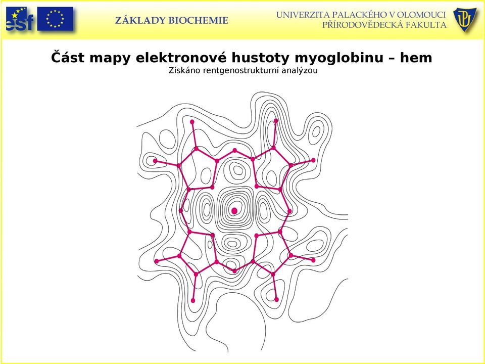 myoglobinu hem