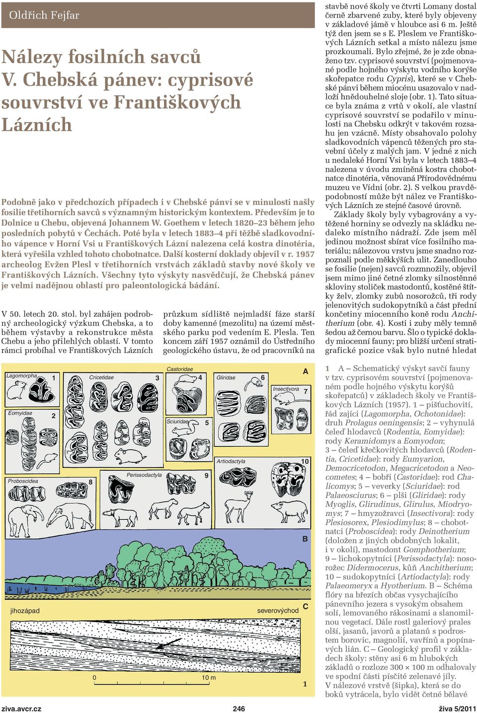 Především je to Dolnice u Chebu, objevená Johannem W. Goethem v letech 80 během jeho posledních pobytů v Čechách.
