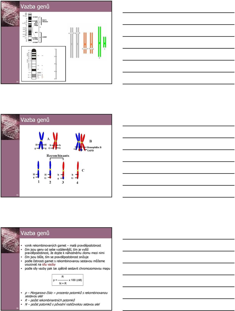 rekombinovnou sestvou můžeme usuzovt n sílu vzby podle síly vzby pk lze zpětně sestvit chromozomovou mpu R p = ----------- x 100 (cm)