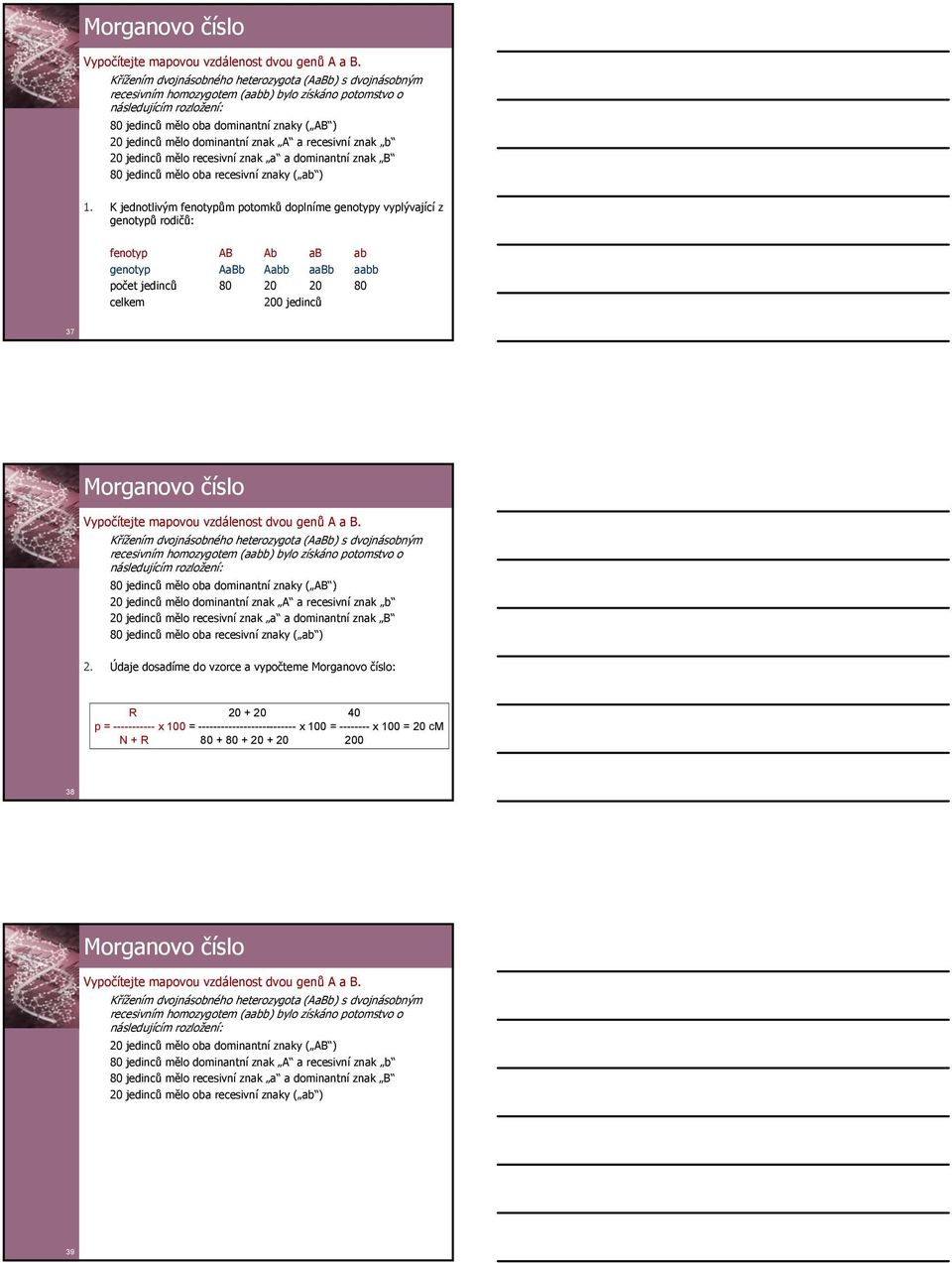 znk recesivní znk b 20 jedinců mělo recesivní znk dominntní znk B 80 jedinců mělo ob recesivní znky ( b ) 1.