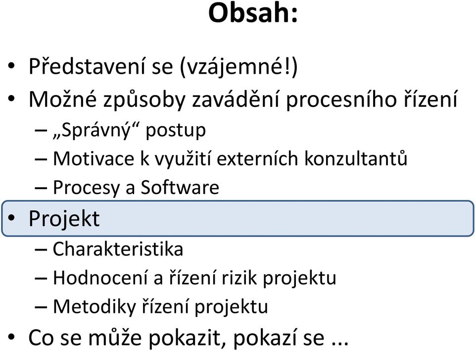 k využití externích konzultantů Procesy a Software Projekt