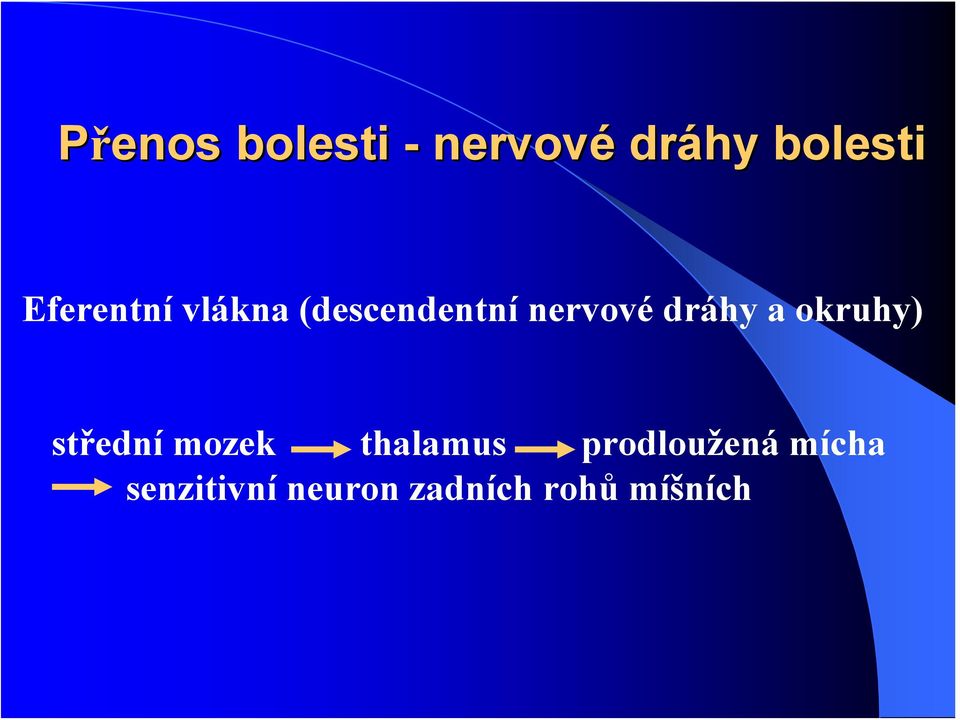 dráhy a okruhy) střední mozek thaamus
