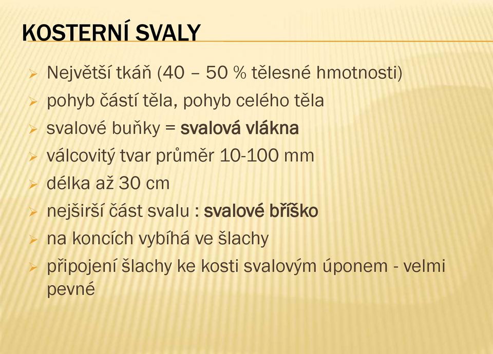 průměr 10-100 mm délka až 30 cm nejširší část svalu : svalové bříško na