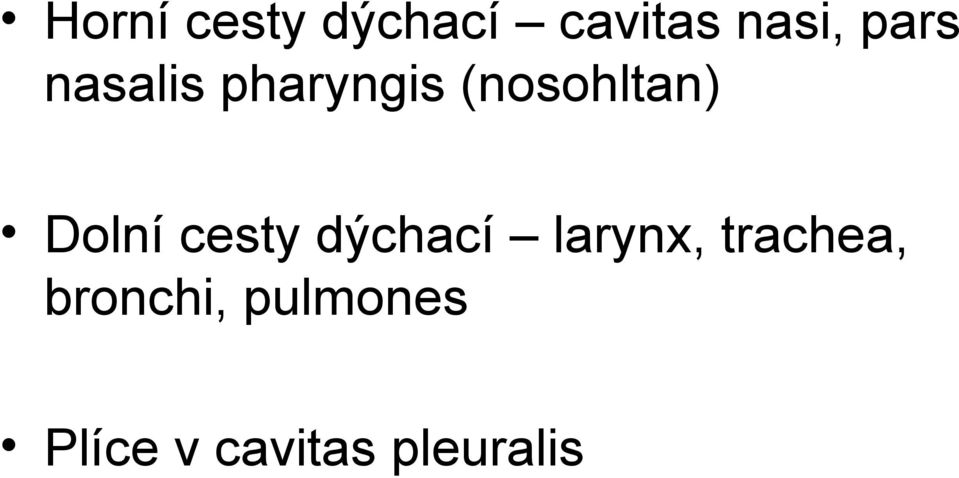 Dolní cesty dýchací larynx, trachea,