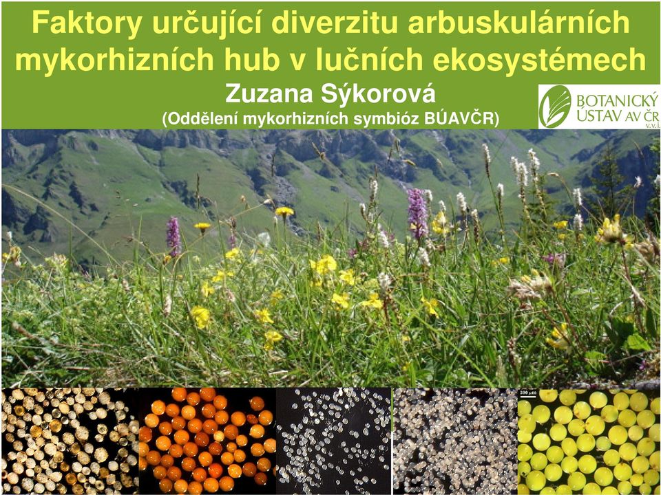 lučních ekosystémech Zuzana