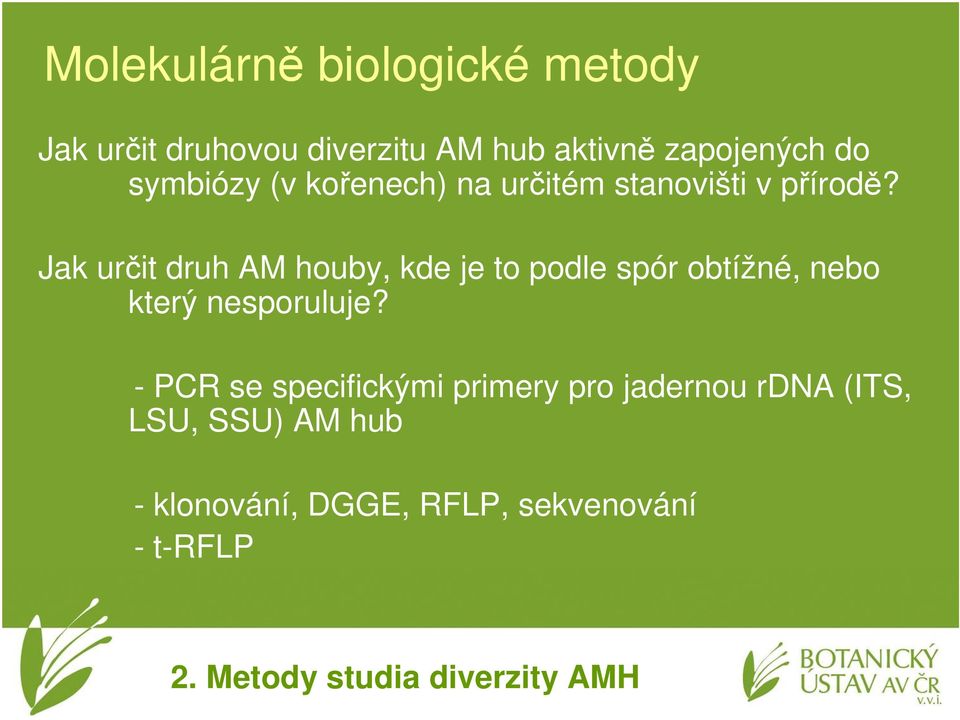 Jak určit druh AM houby, kde je to podle spór obtížné, nebo který nesporuluje?