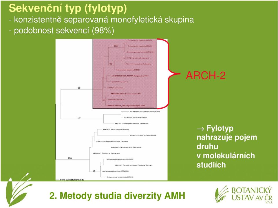 ARCH-2 Fylotyp nahrazuje pojem druhu v molekulárních