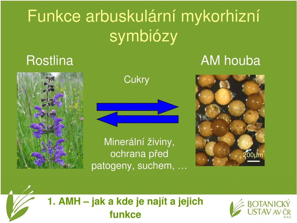živiny, ochrana před patogeny, suchem,