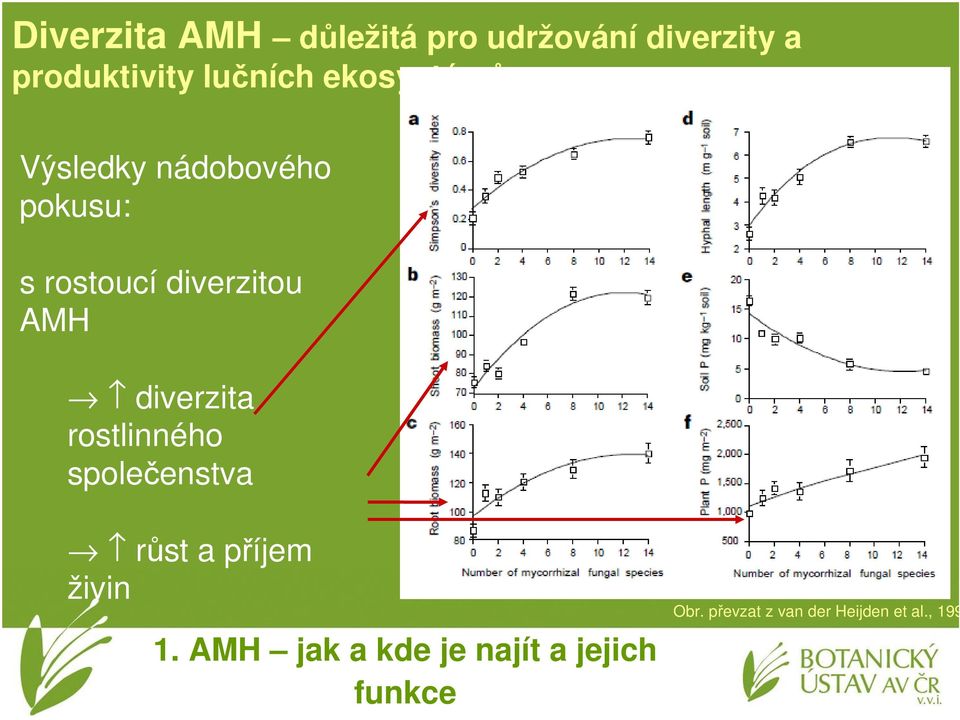 AMH diverzita rostlinného společenstva růst a příjem živin 1.