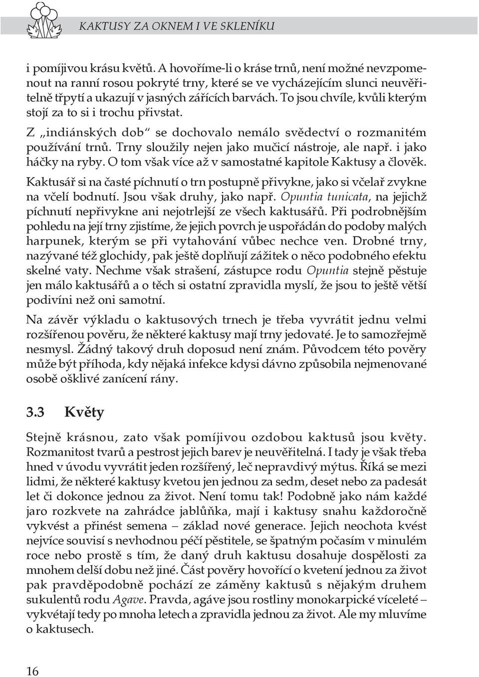 To jsou chvíle, kvůli kterým stojí za to si i trochu přivstat. Z indiánských dob se dochovalo nemálo svědectví o rozmanitém používání trnů. Trny sloužily nejen jako mučicí nástroje, ale např.