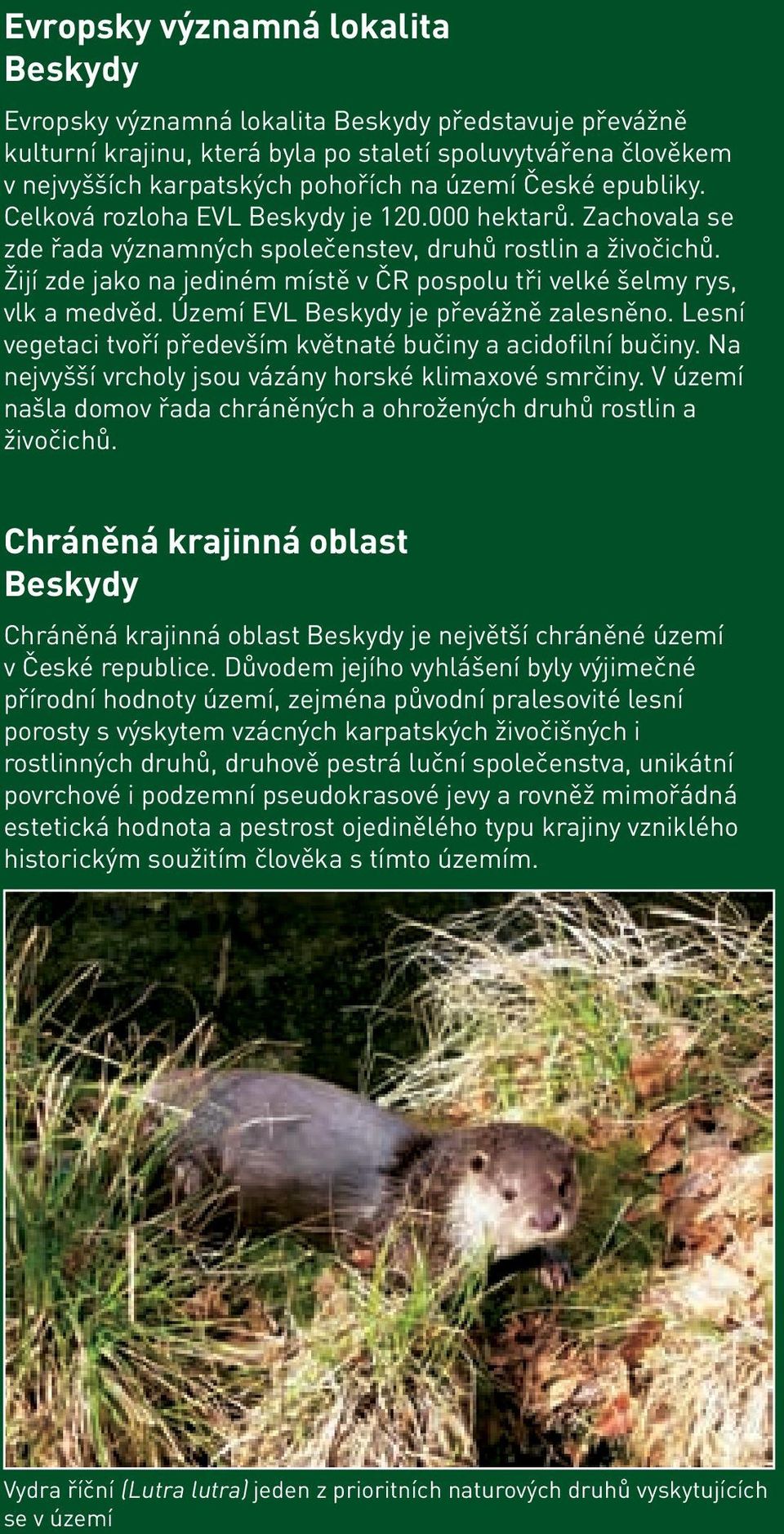 Žijí zde jako na jediném místě v ČR pospolu tři velké šelmy rys, vlk a medvěd. Území EVL Beskydy je převážně zalesněno. Lesní vegetaci tvoří především květnaté bučiny a acidofilní bučiny.