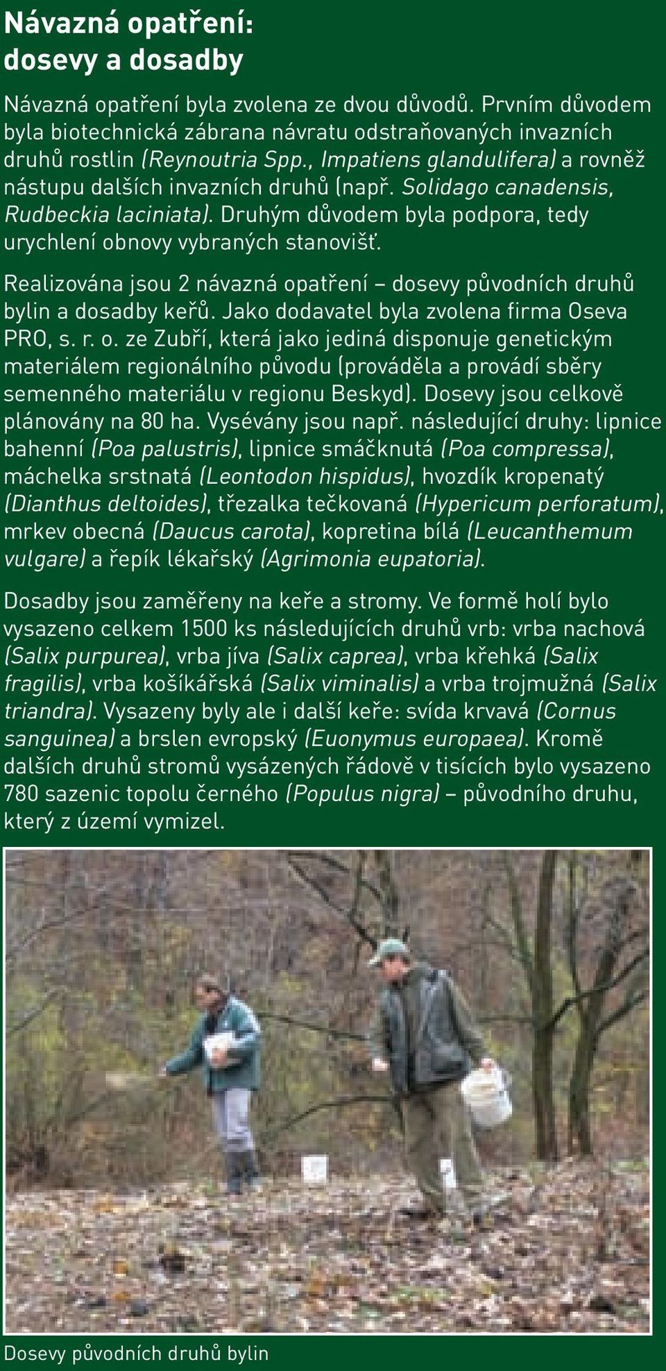 Realizována jsou 2 návazná opatření dosevy původních druhů bylin a dosadby keřů. Jako dodavatel byla zvolena firma Oseva PRO, s. r. o. ze Zubří, která jako jediná disponuje genetickým materiálem regionálního původu (prováděla a provádí sběry semenného materiálu v regionu Beskyd).