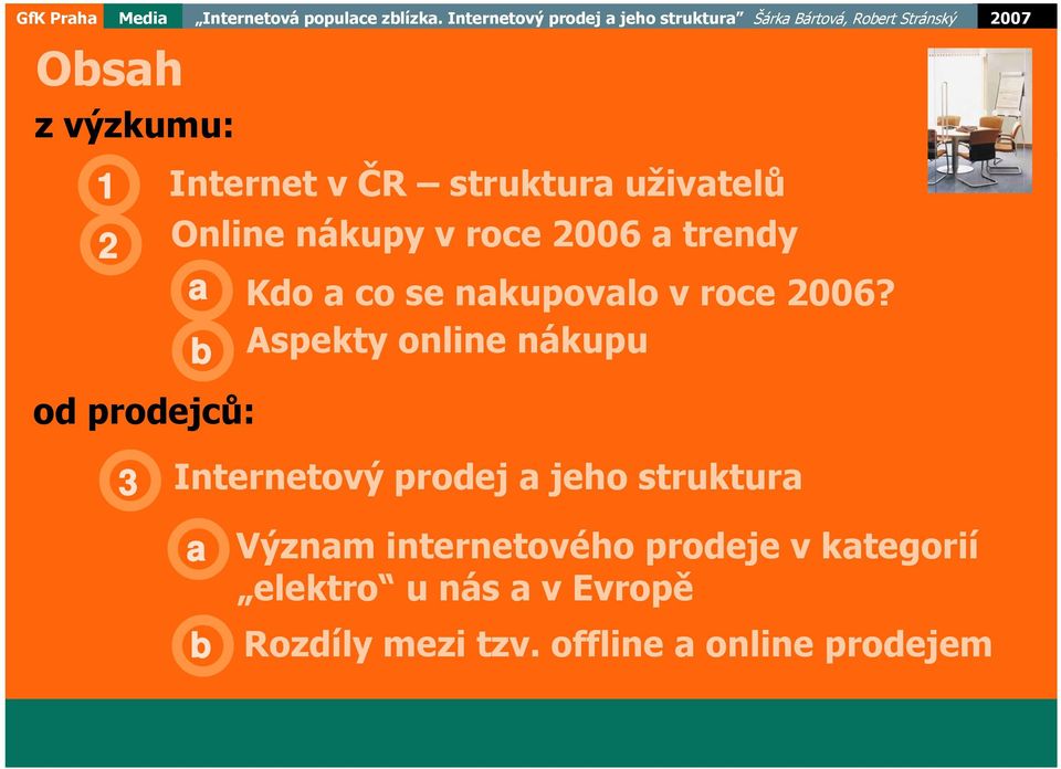 struktura uživatelů 2 Online nákupy v roce 2006 a trendy a Kdo a co se nakupovalo v roce 2006?