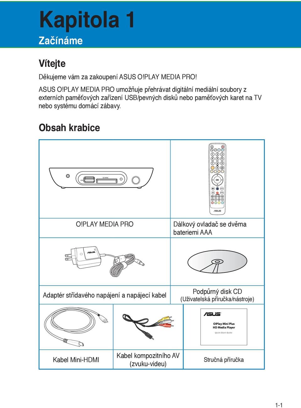 PLAY MEDIA PRO umožňuje přehrávat digitální mediální soubory z externích paměťových zařízení USB/pevných disků nebo paměťových karet na TV nebo systému