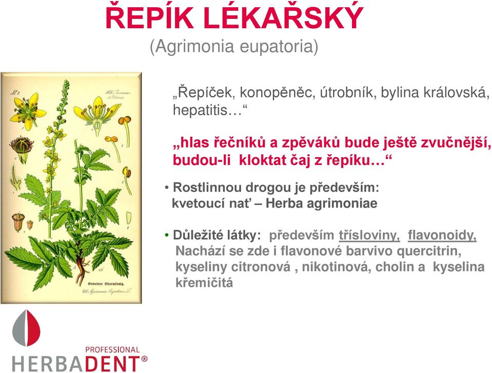 především: kvetoucí nať Herba agrimoniae Důležité látky: především třísloviny, flavonoidy,
