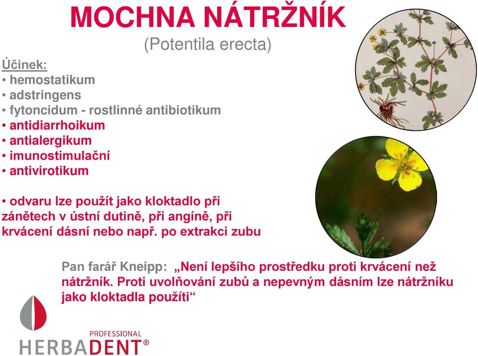 ústní dutině, při angíně, při krvácení dásní nebo např.