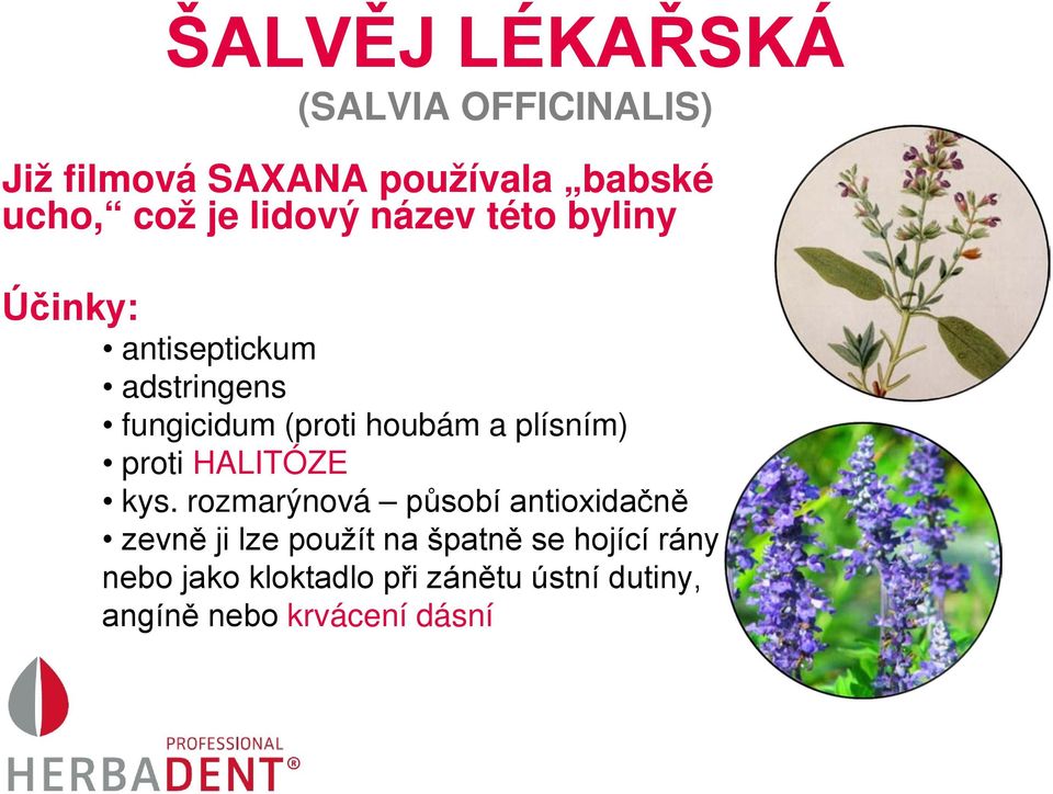 plísním) proti HALITÓZE kys.