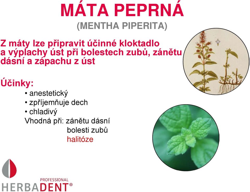 zánětu dásní a zápachu z úst Účinky: anestetický