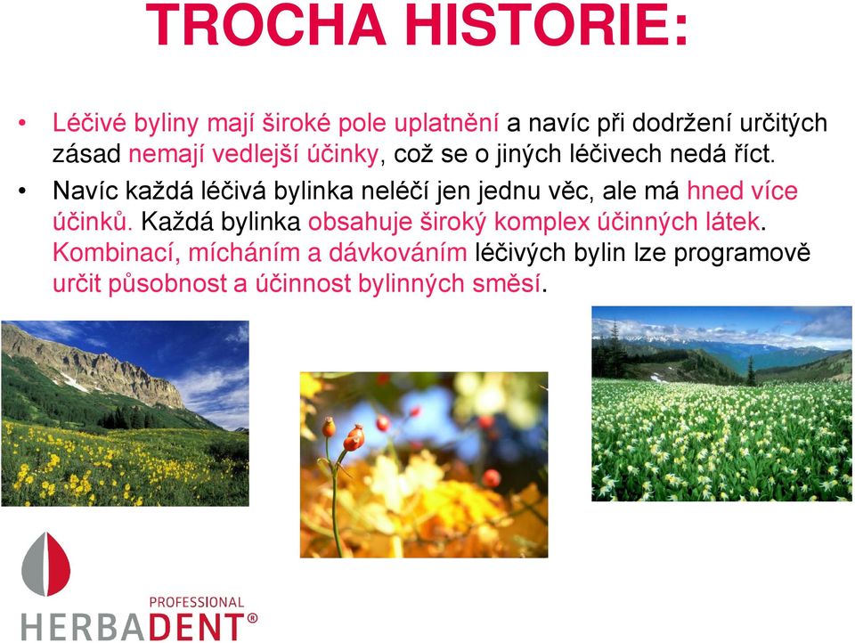 Navíc každá léčivá bylinka neléčí jen jednu věc, ale má hned více účinků.