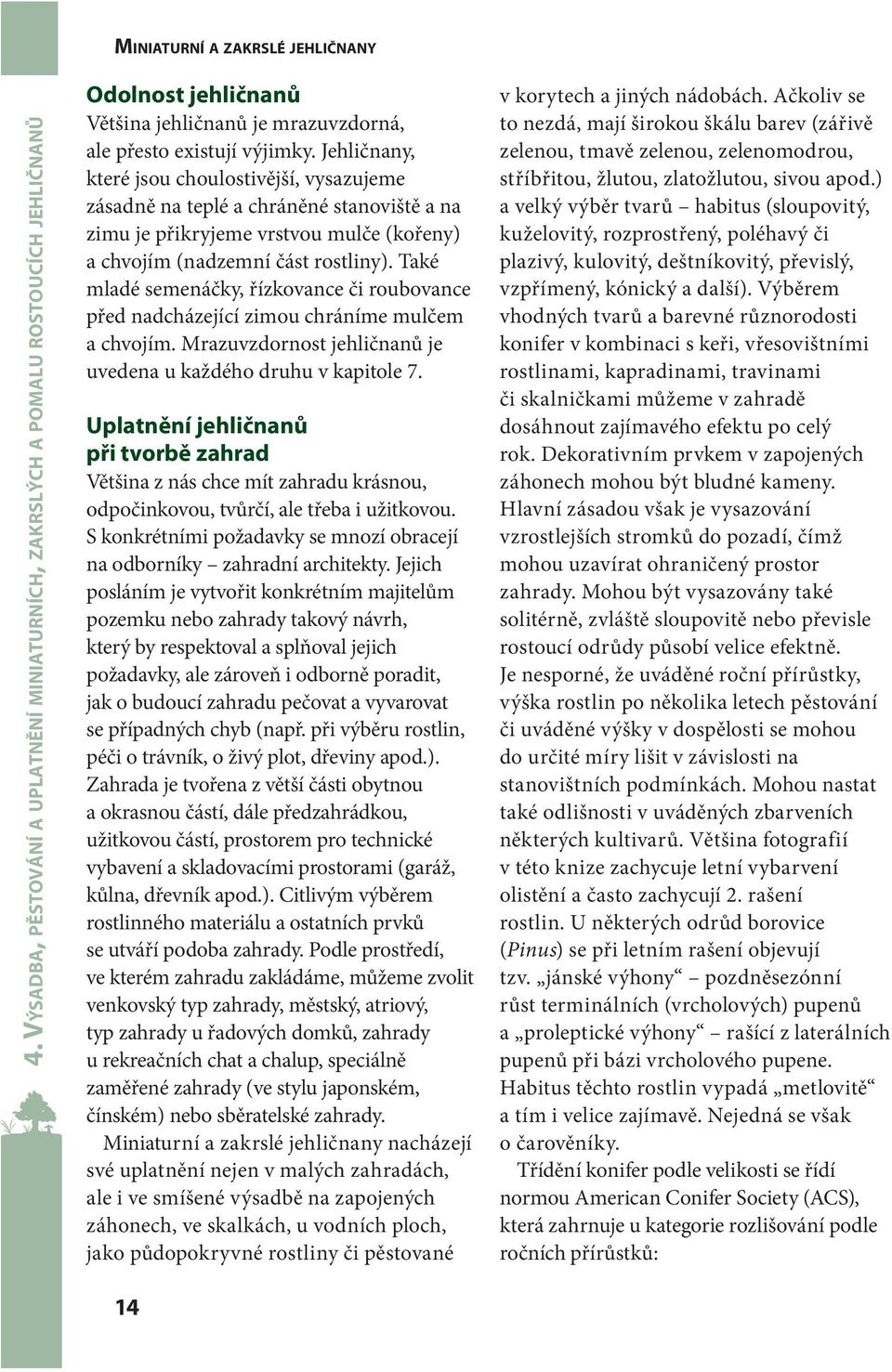 Také mladé semenáčky, řízkovance či roubovance před nadcházející zimou chráníme mulčem a chvojím. Mrazuvzdornost jehličnanů je uvedena u každého druhu v kapitole 7.