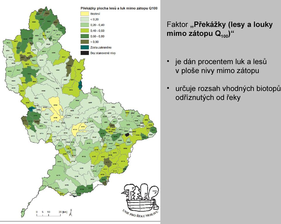 lesů v ploše nivy mimo zátopu určuje