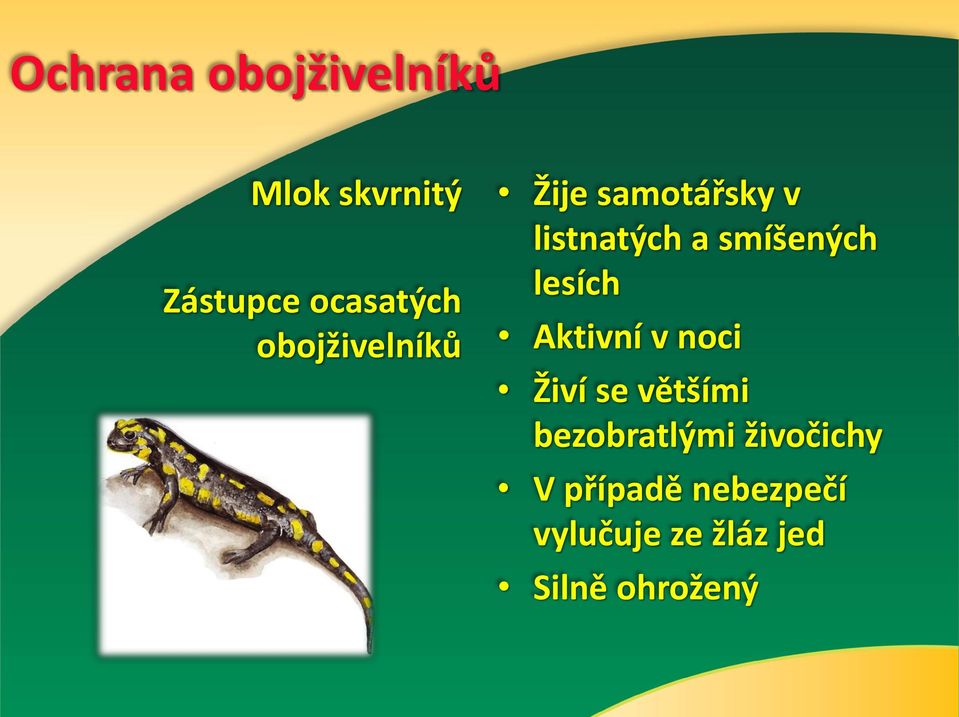 Aktivní v noci Živí se většími bezobratlými