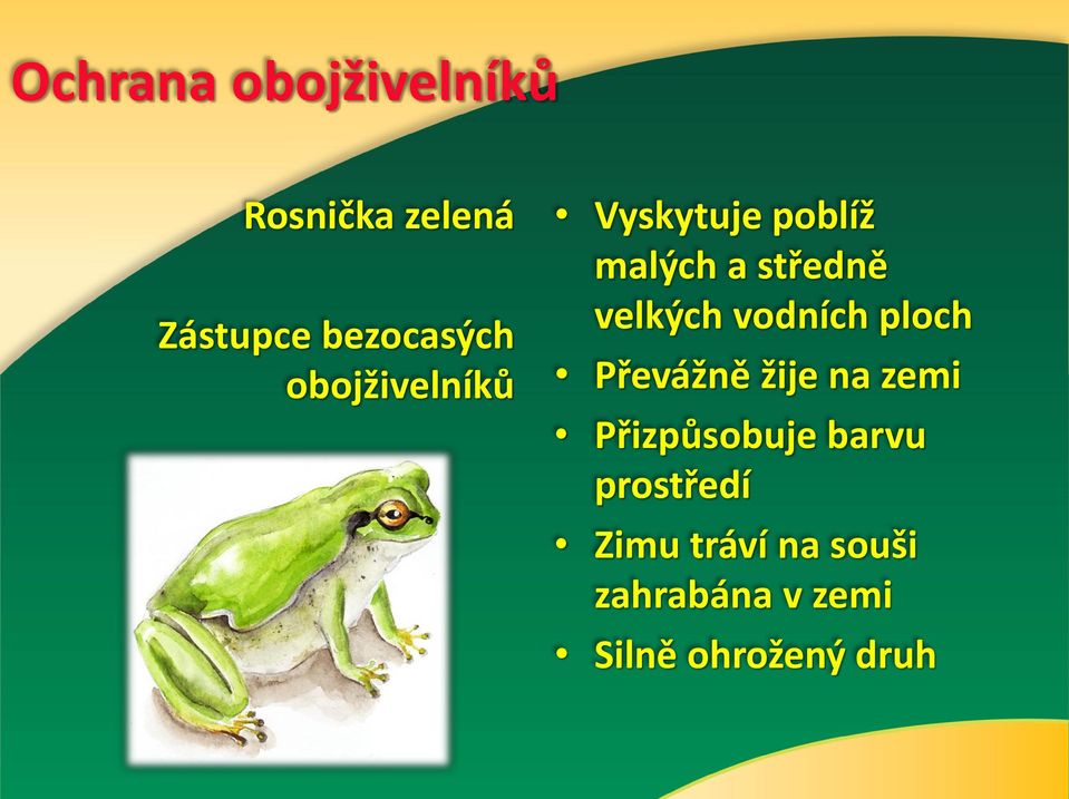 ploch Převážně žije na zemi Přizpůsobuje barvu