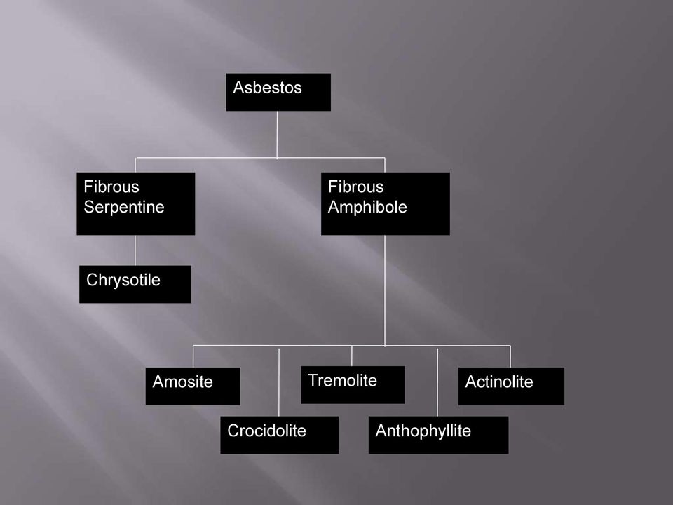 Chrysotile Amosite