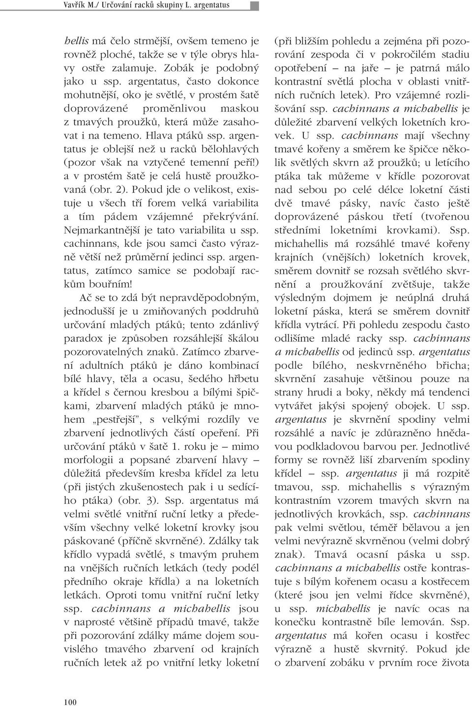 argentatus je oblej í neï u rackû bûlohlav ch (pozor v ak na vztyãené temenní pefií!) a vprostém atû je celá hustû prouïkovaná (obr. 2).