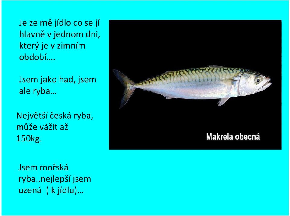 Jsem jako had, jsem ale ryba Největší česká